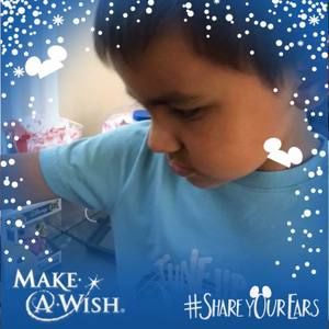 Meet your Posher, Louis